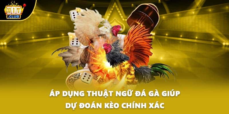 Áp dụng thuật ngữ đá gà giúp dự đoán kèo chính xác