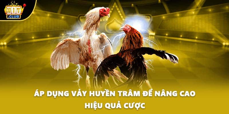 Áp dụng vảy huyền trâm để nâng cao hiệu quả cược