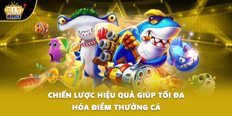 Chiến lược hiệu quả giúp tối đa hóa điểm thưởng cá