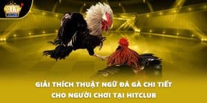 thuật ngữ đá gà