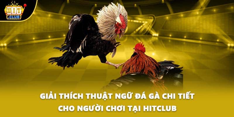 thuật ngữ đá gà