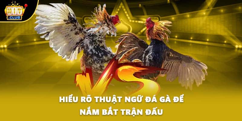 Hiểu rõ thuật ngữ đá gà để nắm bắt trận đấu