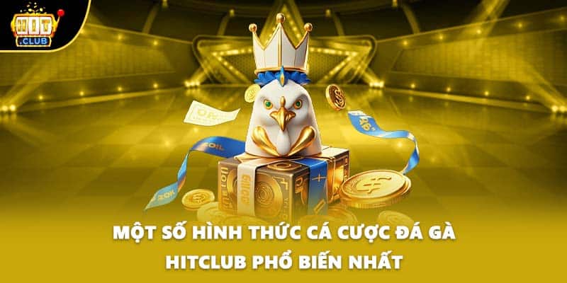 Một số hình thức cá cược đá gà HITCLUB phổ biến nhất