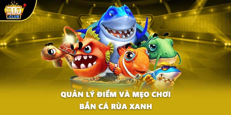 Quản lý điểm và mẹo chơi bắn cá rùa xanh