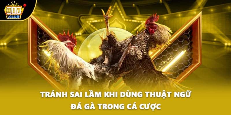 Tránh sai lầm khi dùng thuật ngữ đá gà trong cá cược